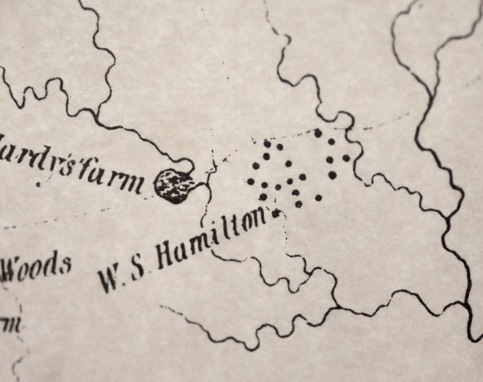 Hamilton's Diggings